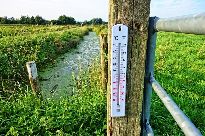 Szczecin na poszukiwaniach miejskiej wyspy ciepła
