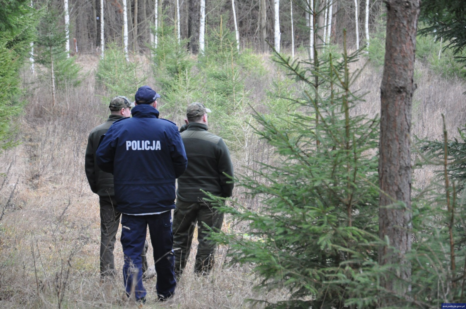 Ruszyły kontrole punktów sprzedaży choinek