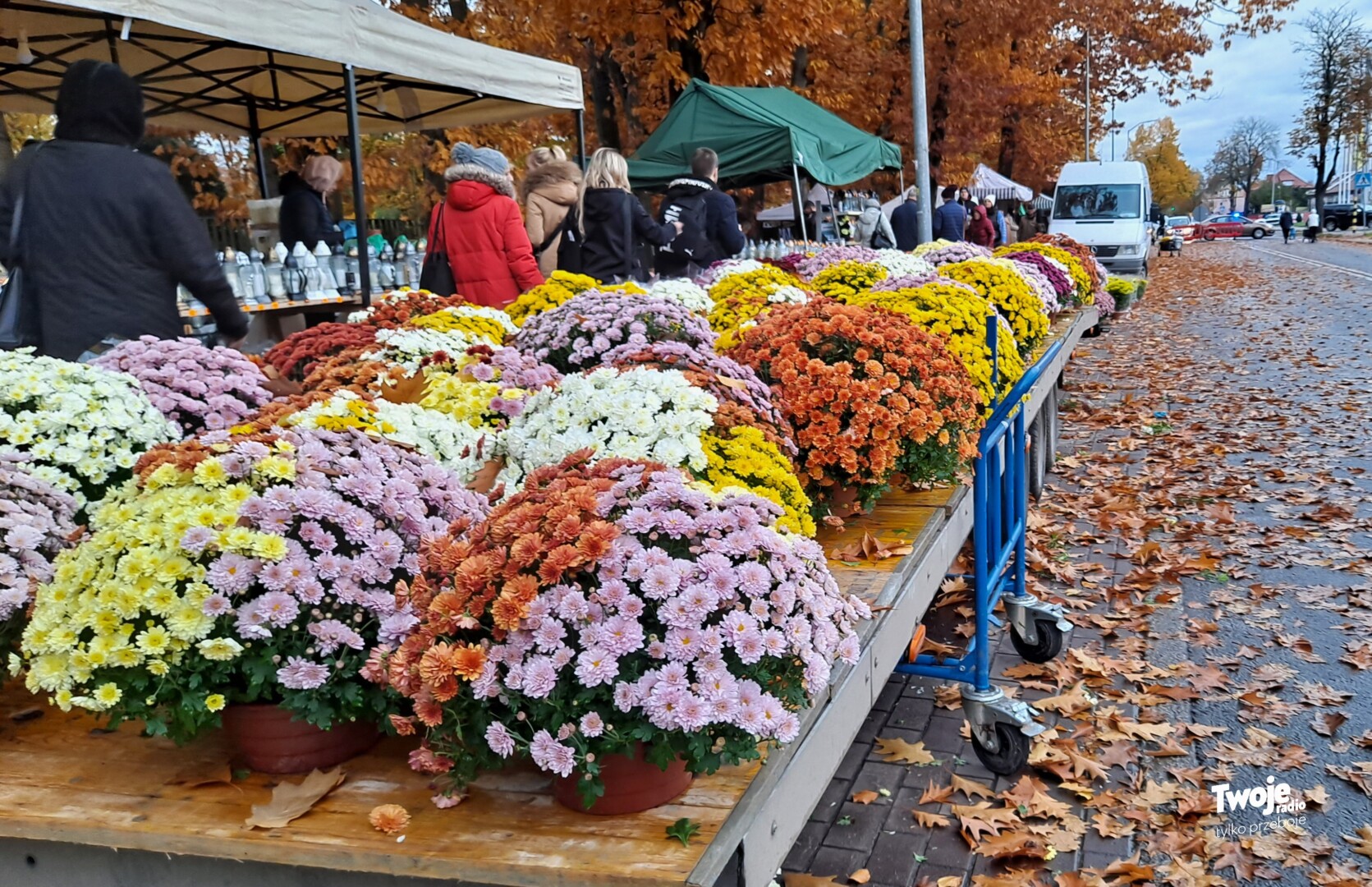 Ogłoszenie o sprzedaży miejsc handlowych przycmentarnych na Wszystkich Świętych 2024 w Stargardzie