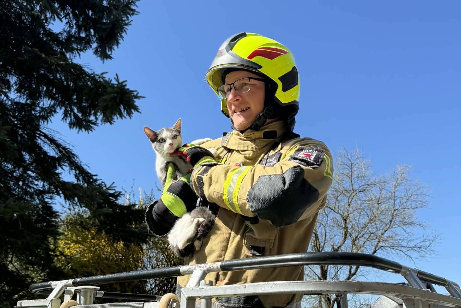 Interwencja w Kołczewie. Zwierzę potrzebowało pomocy