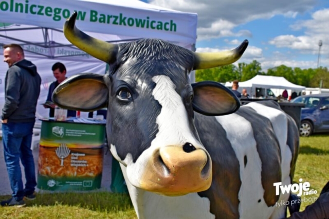 Wystawa Ogrodnicza Barzkowice Wiosna 2026_14