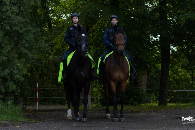 Parada Miast Hanzeatyckich i oficjalne otwarcie 46. Międzynarodowego Zjazdu Hanzy_25